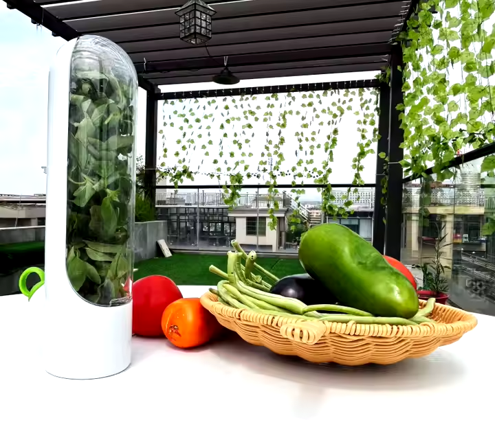 Herb Savor Pod white-transparent BPA Free The Fridge Small Vegetable, Herbs container Keep fresh Innovation that Works Fresh Cut Herbs