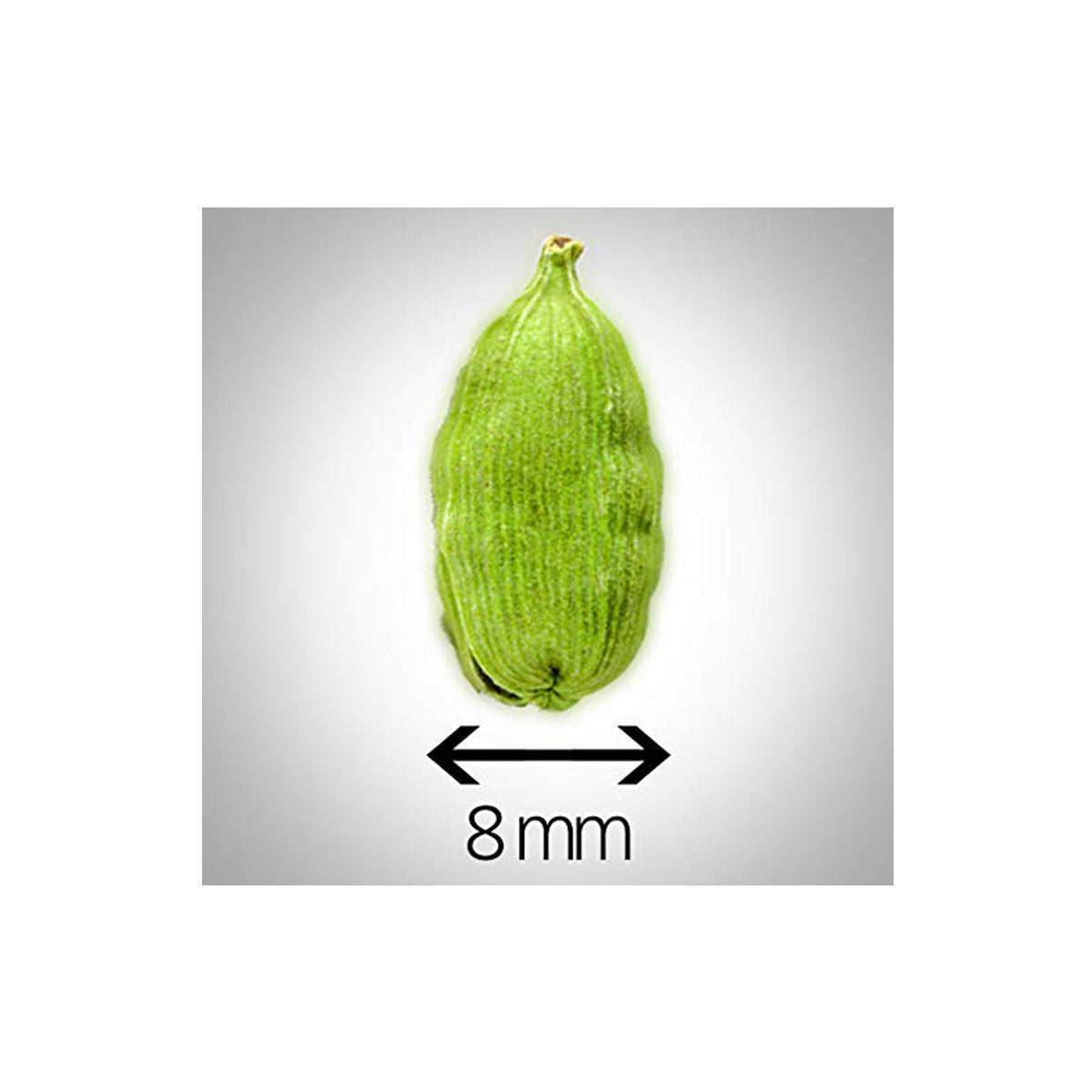 Premium Green Cardamom Pods (Elaichi), Whole Spice, Natural | Bold Flavor & Natural Aroma