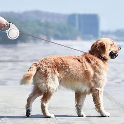 Retractable Dog Leash Single Handed Fast Lock Braking System Dogs Cats Rope Pink 3m | Pet Supplies | Dog Supplies | Leashes & Head Collars