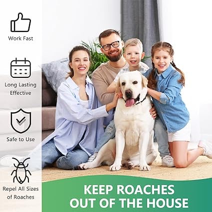 Natural Roach Bait Stations – Non-Toxic Cockroach Killer & Repellent | Indoor/Outdoor 12-Pack, Long-Lasting Nest Elimination