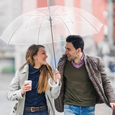 Clear Transparent Long Umbrella – Auto Open | Windproof | Stylish Curved Handle