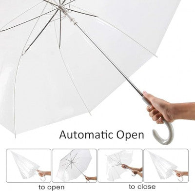 Clear Transparent Long Umbrella – Auto Open | Windproof | Stylish Curved Handle
