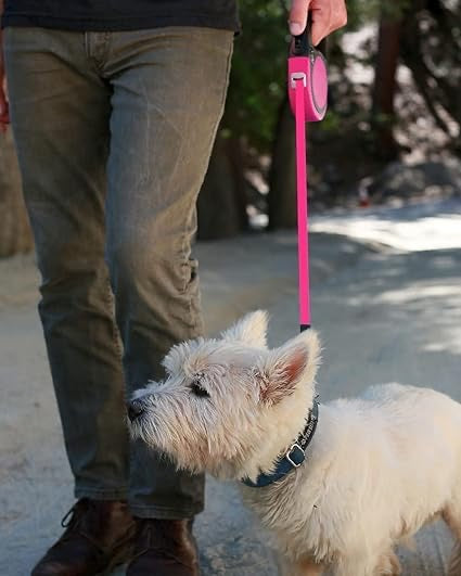 Retractable Dog Leash Single Handed Fast Lock Braking System Dogs Cats Rope Pink 3m | Pet Supplies | Dog Supplies | Leashes & Head Collars
