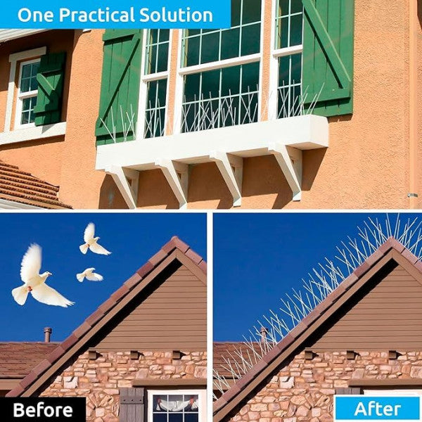 🛡️ Mr. Right Pigeon Spikes – 12 Inch Bird Deterrent for Safe, Clean Spaces