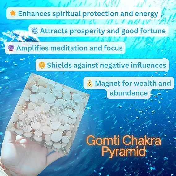 Crystal Laxmi Pyramid with Rudraksha Shree Yantra Natural Gomati Chakra White Kauri and Ratti Seeds for Vastu Money Wealth Good Luck, Success & Prosperity