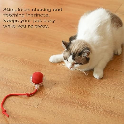 Smart Rolling Pet Ball – Interactive Toy for Dogs & Cats | Auto-Moving, Rechargeable & Tail-Wagging Play Ball