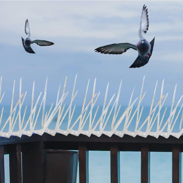 🛡️ Mr. Right Pigeon Spikes – 12 Inch Bird Deterrent for Safe, Clean Spaces