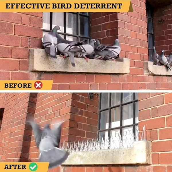 🛡️ Mr. Right Pigeon Spikes – 12 Inch Bird Deterrent for Safe, Clean Spaces