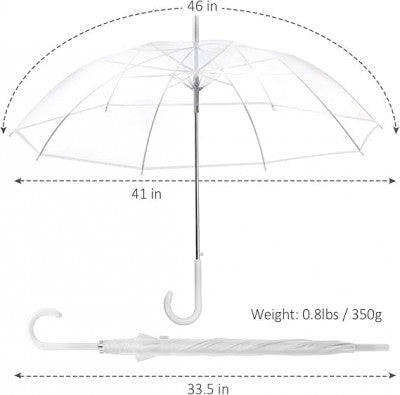 Clear Transparent Long Umbrella – Auto Open | Windproof | Stylish Curved Handle
