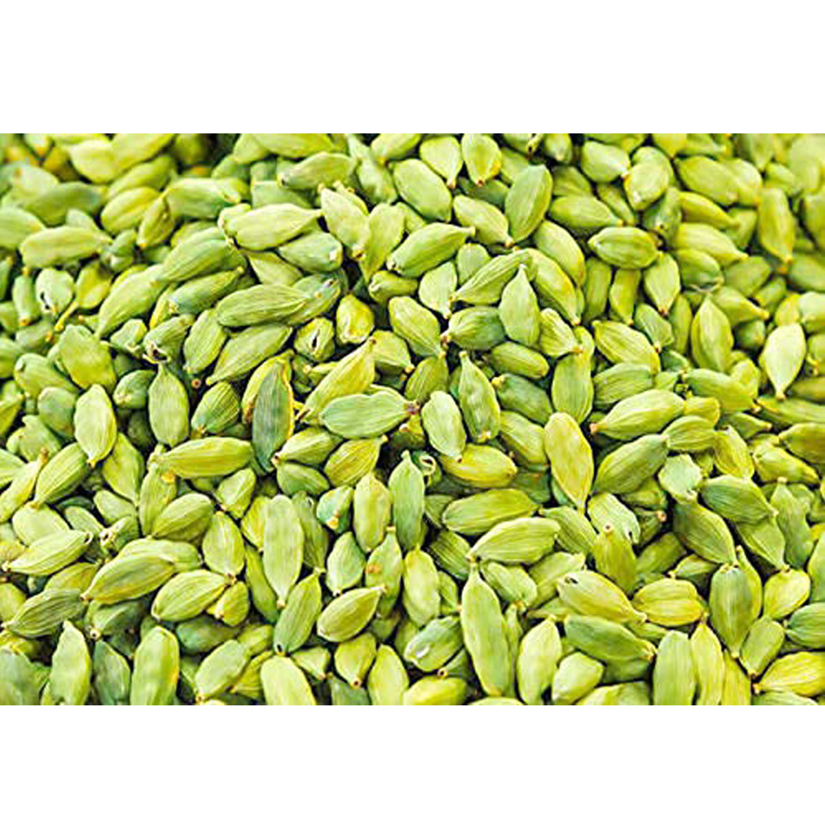 Premium Green Cardamom Pods (Elaichi), Whole Spice, Natural | Bold Flavor & Natural Aroma