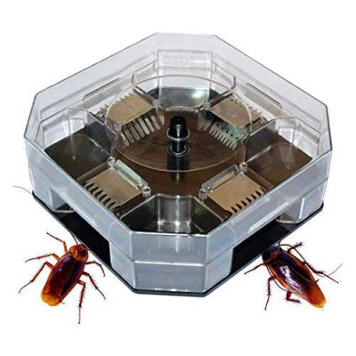 Cockroach Trap Box – Multi-Entry Reusable Roach Catcher with One-Way Locking System